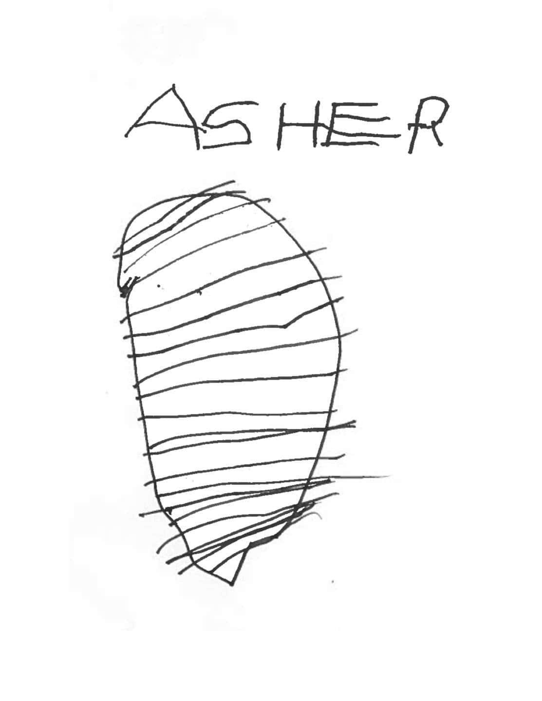 asher-nest-1